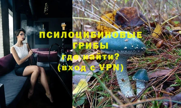 не бодяженный Абаза
