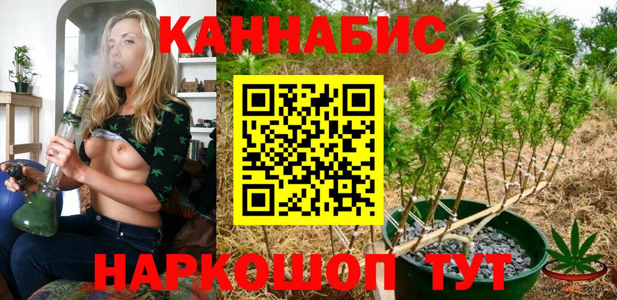 Конопля Amnesia  Вход с VPN  Марихуана семена  Бошки марихуана семена  Новочебоксарск  Канабис Bruce Banner 